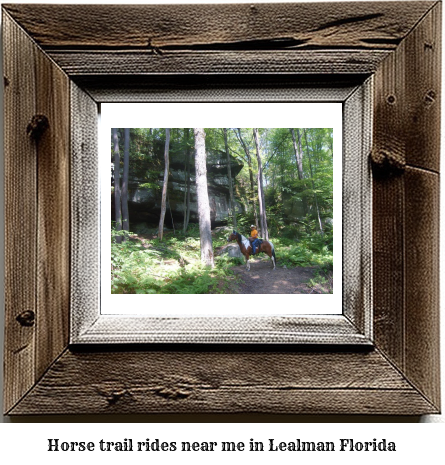 horse trail rides near me in Lealman, Florida